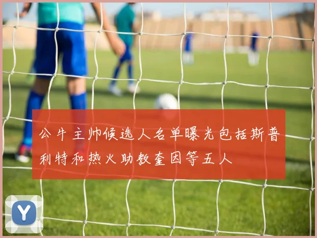 公牛主帅候选人名单曝光包括斯普利特和热火助教奎因等五人