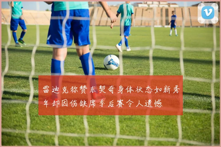 雷迪克称赞东契奇身体状态如新秀年却因伤缺席季后赛令人遗憾