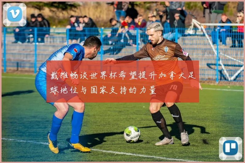 戴维畅谈世界杯希望提升加拿大足球地位与国家支持的力量
